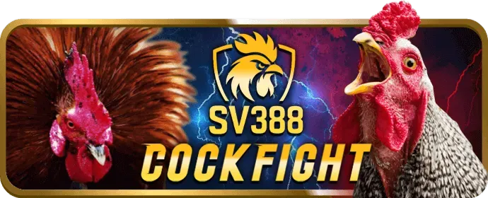 Bánh xe Roulette quay với các chip cá cược